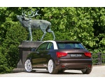 Audi A1   5