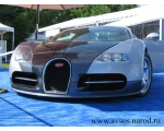   Bugatti Veyron 30